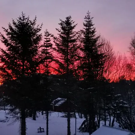 Cozy Gravdal (Vestvagoy)