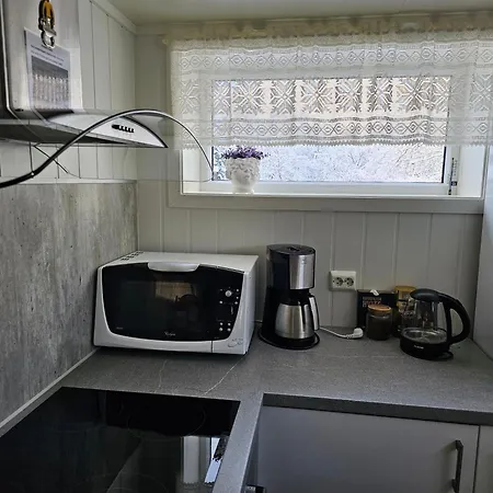 Cozy Apartment Gravdal (Vestvagoy)