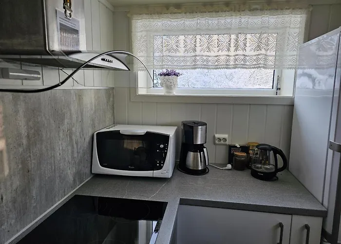 Cozy Appartement Gravdal (Vestvagoy)